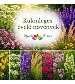 Különleges évelő növények