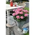 Kép 3/3 - Pelargonium zonale 'Survivor Idols Pink Mega Splash' – bokor vagy álló muskátli - CS12