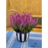Kép 1/2 - Salvia nemorosa 'Rianne Pink' - ligeti zsálya - CS12